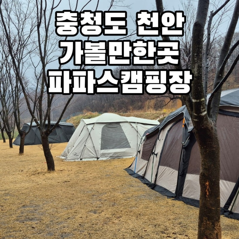 [충청도] 충남 천안 캠핑장... 파쇄석 잔디존 - 파파스캠핑장