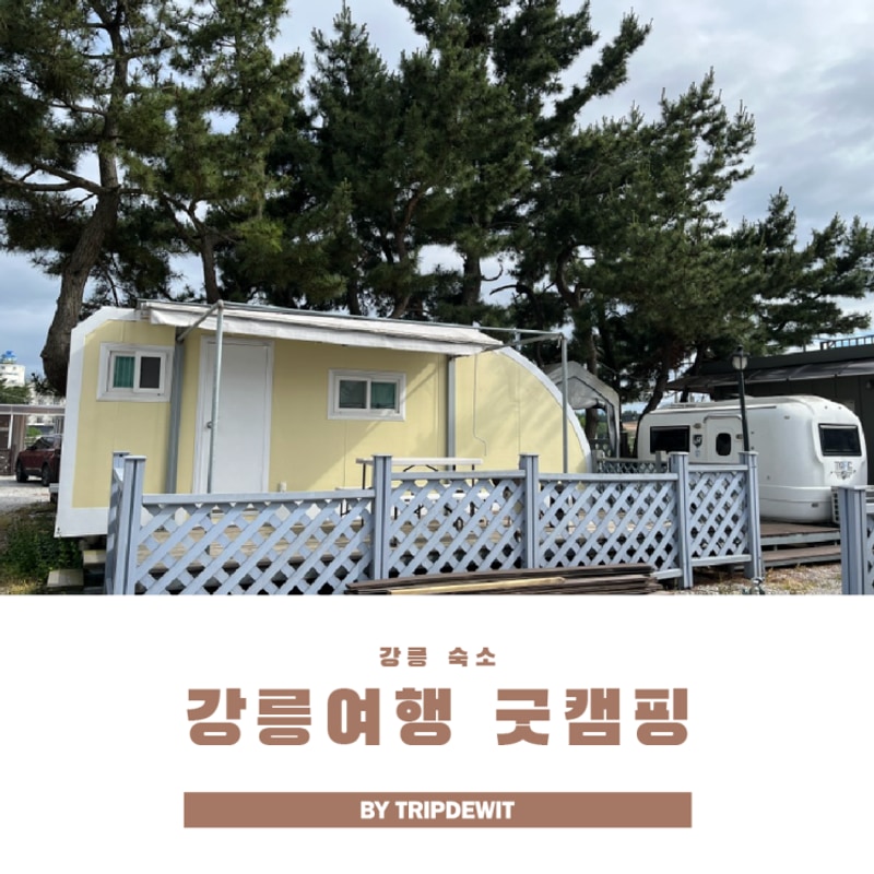 강릉 여행 굿캠핑 카라반 사천 바다까지 1분!