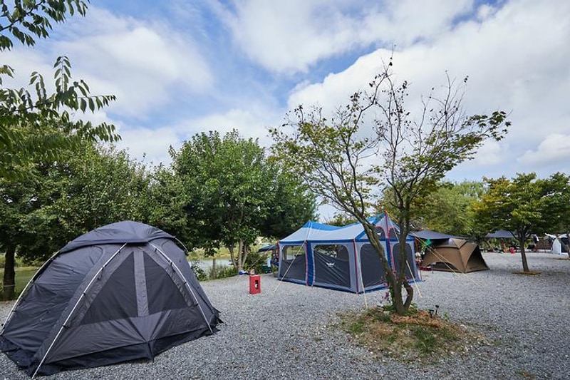 용설호수캠핑장 대표 사진