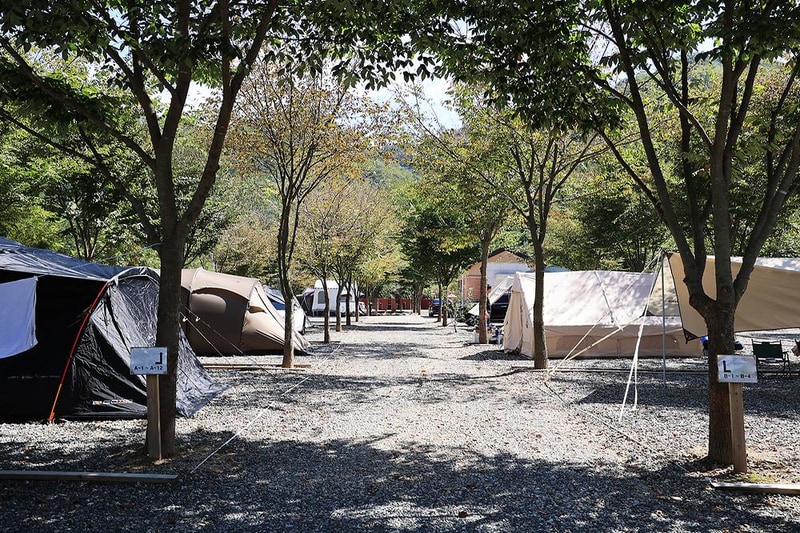 보랏빛오토캠핑장 시설 사진 5