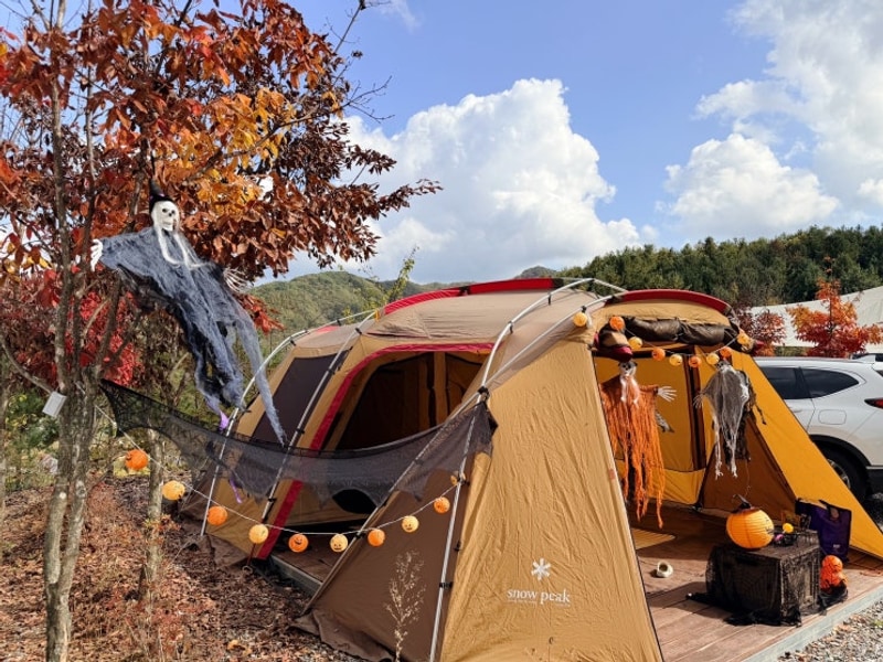 홍천 세이지힐오토캠핑장 a8, a6 10월 할로윈 후기