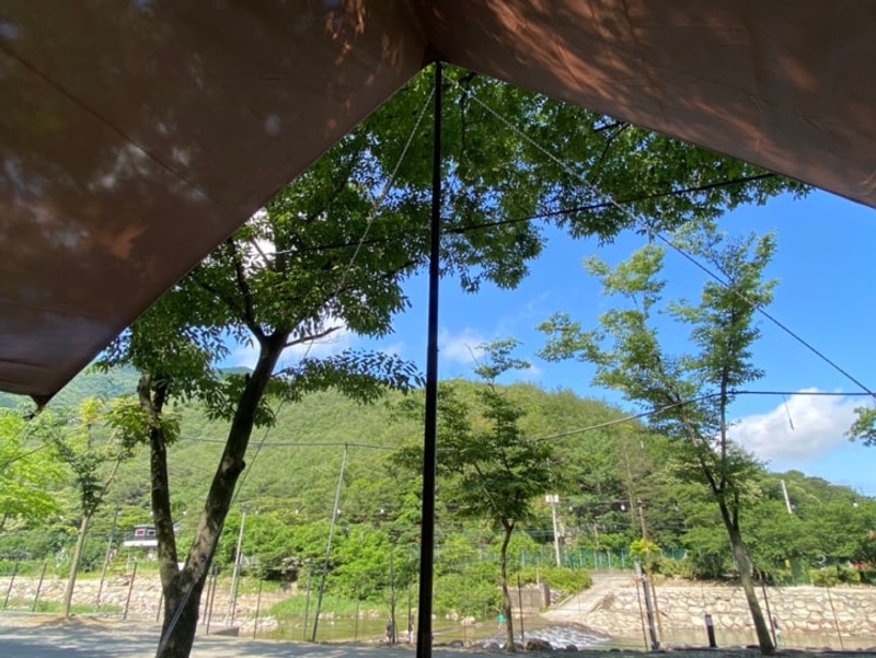 캠핑후기) 조은자리캠핑장 (+청도 계곡 캠핑장)