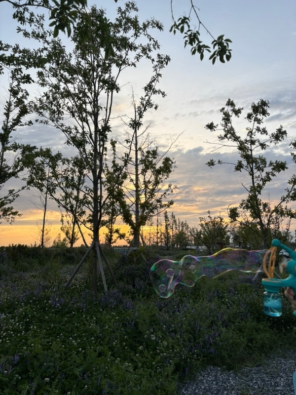 #42 평택항 국민여가캠핑장