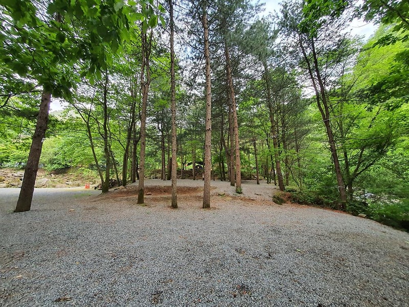 단양 천동계곡 캠핑장 그린농원 시설 사진 25