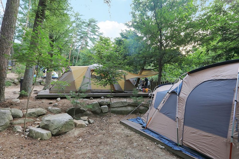 소나무숲아래 시설 사진 4