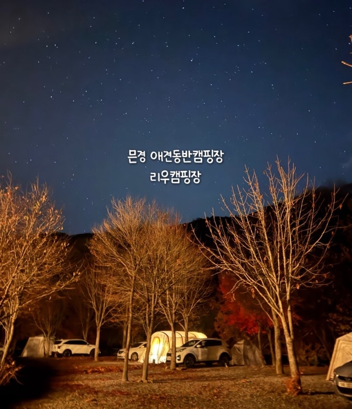 단풍절정 문경 애견동반 캠핑장 리우캠핑장 D3사이트