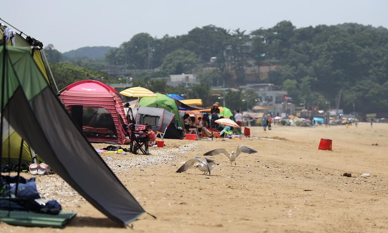 십리포해수욕장 야영장 시설 사진 21