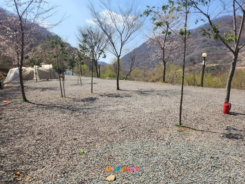 대구 근교, 경주 힐링캠프 오토캠핑장 11번 사이트 후기(수영장...