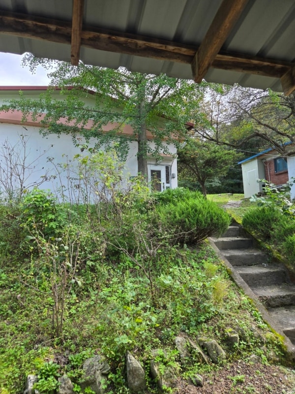 캠린이의 첫 캠핑장 추천, 서울 인근 캠핑장 테토양평캠핑장