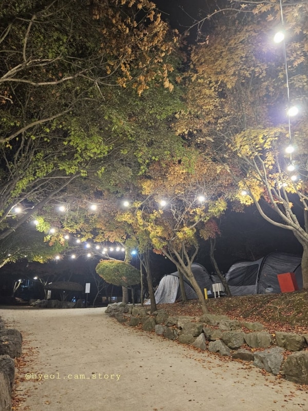24.11.22~24 가을캠핑 아이와함께 담양마루한캠핑장
