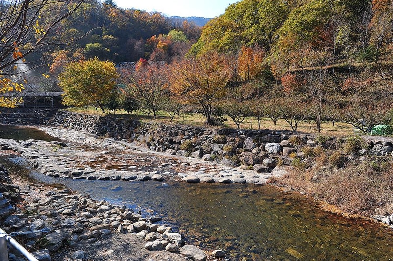 봉강 하조 오토캠핑장 시설 사진 7