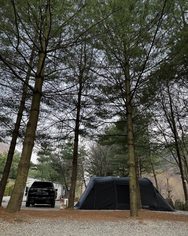 [캠핑장 리뷰] 덕동리301캠핑장: 충북 제천 자연 속에서의...