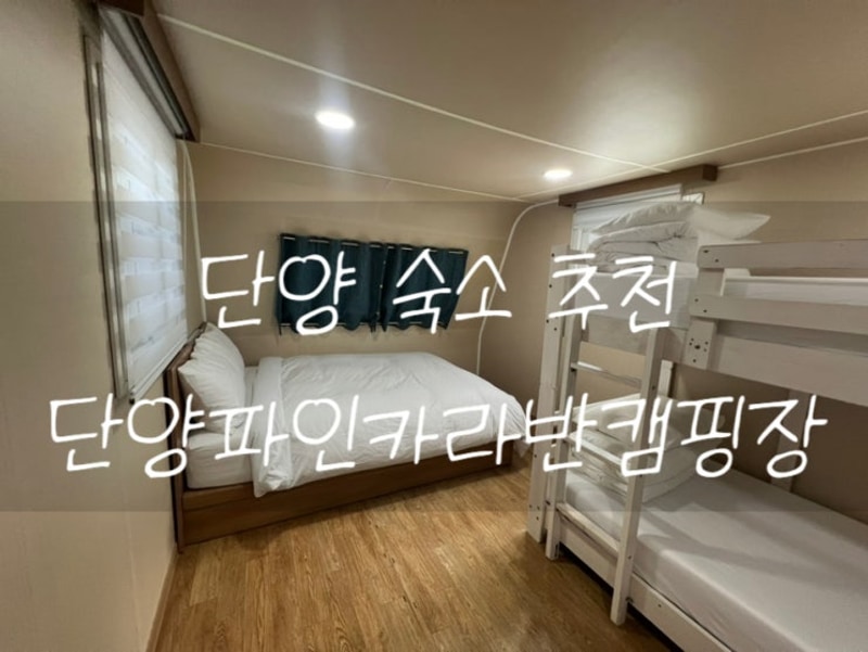 [단양숙소] 단양 파인카라반캠핑장 902호 내돈내산 후기