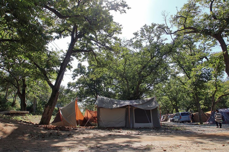 초평밤나무 시설 사진 5