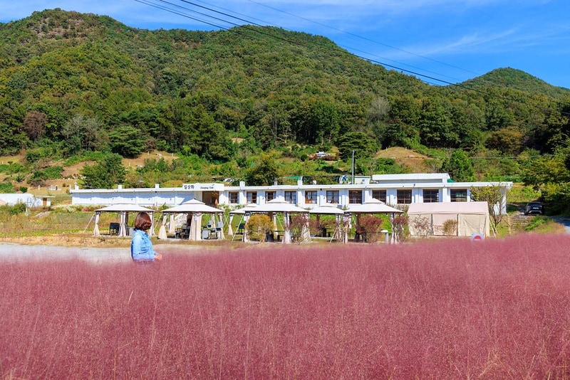 일상화 글램핑 시설 사진 2