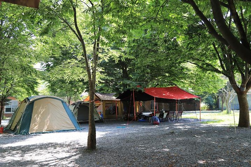 남강 캠프 대표 사진