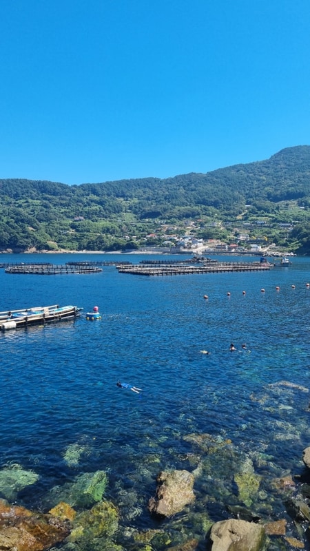 [ 통영 캠핑장 추천 ] 오션뷰... 욕지도 청보리오토캠핑장 " 강추