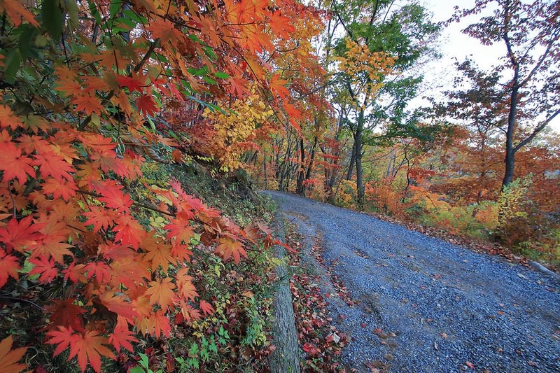 문복산 캠핑장 시설 사진 14