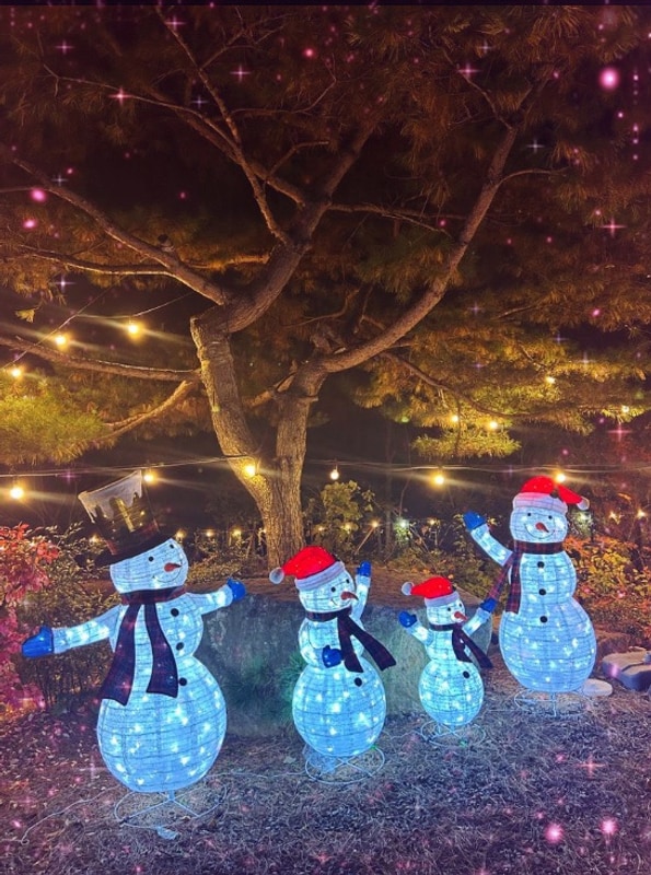 경주 양남라라캠핑장 숲속 힐링과 편안한 캠핑을 동시에 즐길...