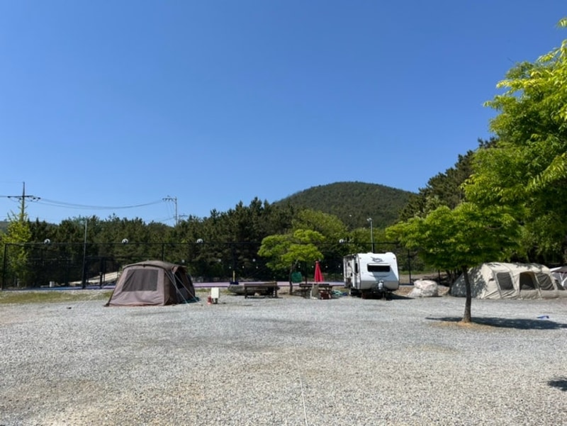 동해 아름다운캠프 오션뷰 캠핑장 장,단점 후기 및 주변 시장 정보