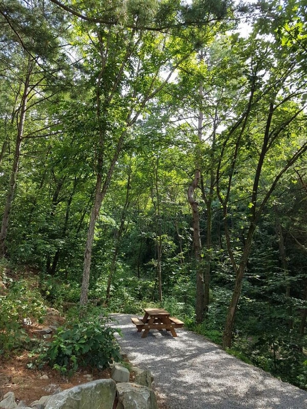 양평 다목적캠핑장 시설 사진 5