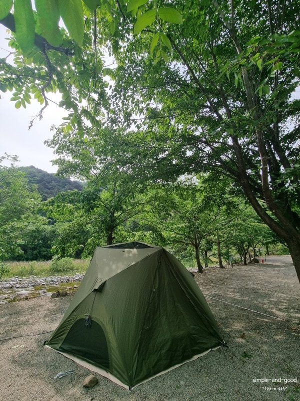 강원도 양양 계곡 캠핑장 골짜구니 예약 후기