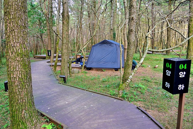 붉은오름 자연휴양림 숲속 야영장 시설 사진 9