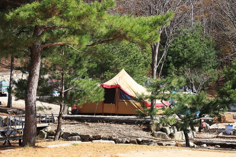 삼남매와 뭉치네 캠핑장 시설 사진 6