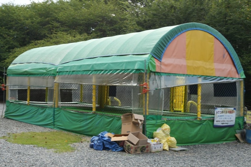 물놀이 하기 좋은 부산근교 계곡 캠핑장 밀양 알프스캠핑장