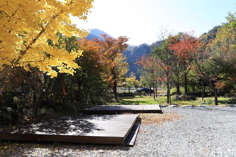 정선애 펜션 캠핑장 대표 사진