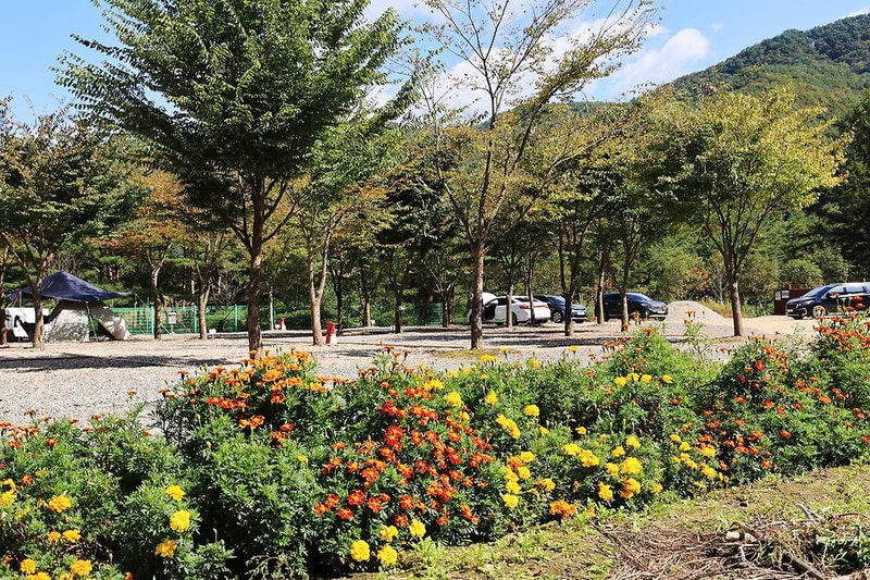 보랏빛오토캠핑장 시설 사진 9