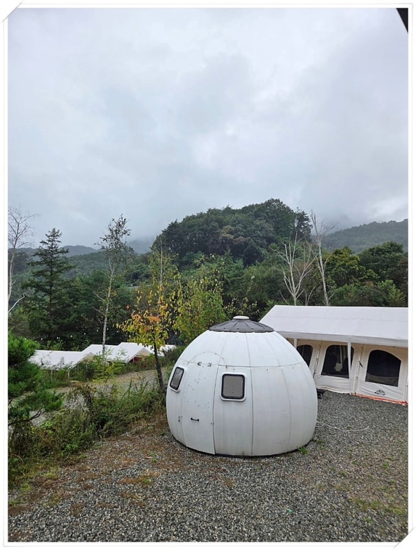 초겨울 공기 꽉 찬 홍천 알지캠프266리뷰