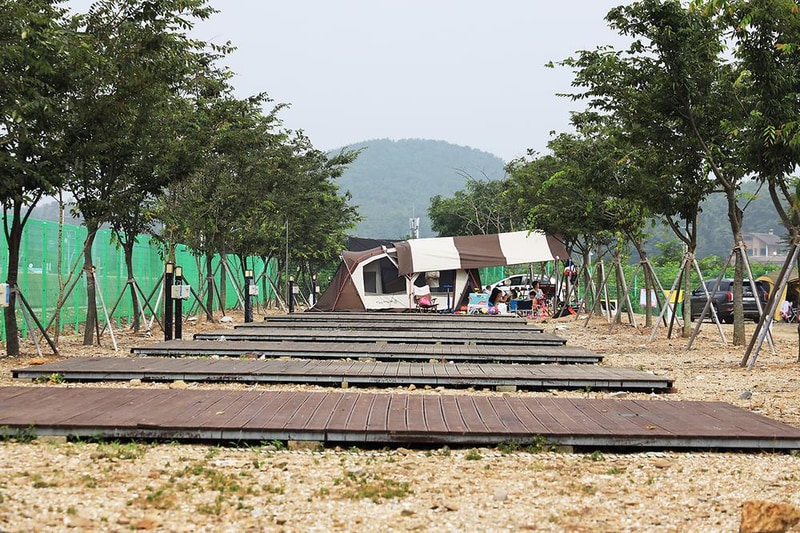 대부관광농원 오캠핑 시설 사진 8