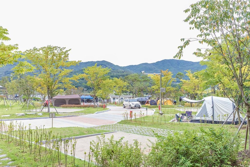 천안시 국민여가캠핑장 시설 사진 17