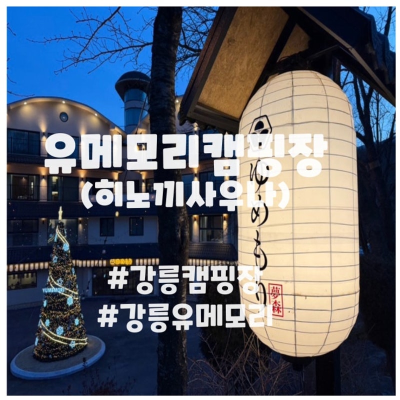 [강릉]유메모리캠핑장,프리미엄캠핑장.히노끼사우나캠핑장