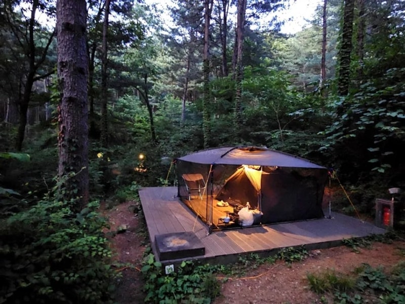 가평 숲 속 캠핑장 "호명산 잣나무 숲속 캠핑장"