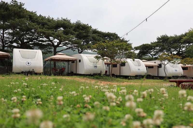 서산클럽아일랜드 시설 사진 4