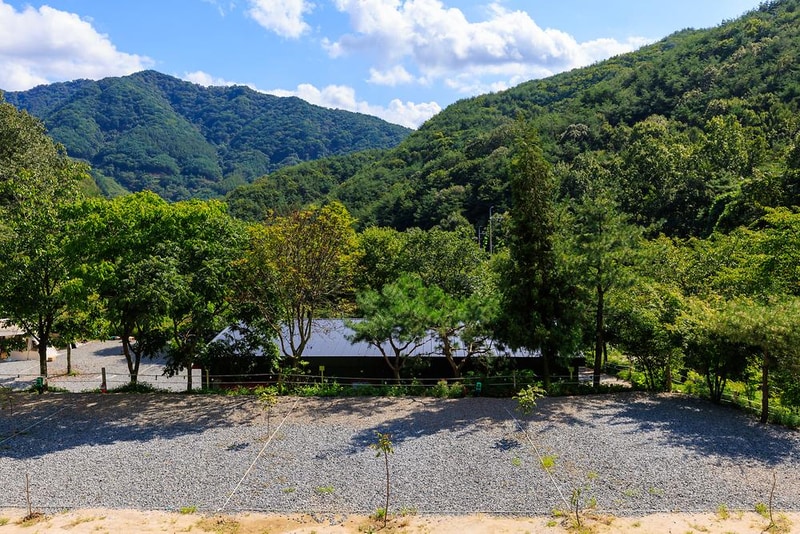 숲에안기다 시설 사진 21