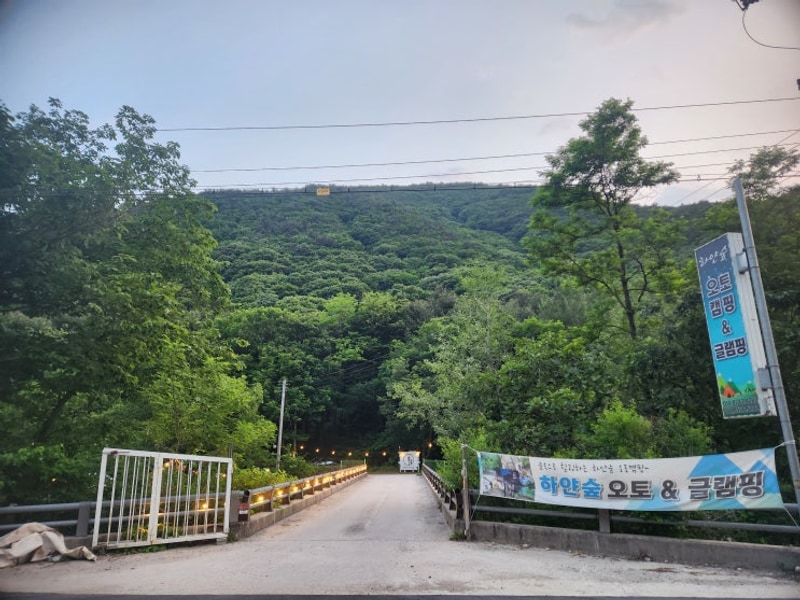 내돈내산 자연과 함께하는 포천 하얀숲 오토&글램핑 vip8동...