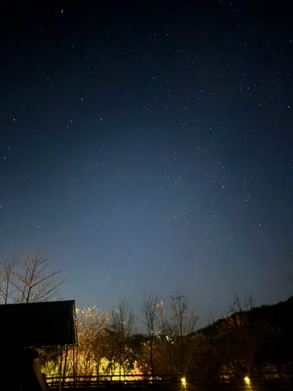 애견캠핑장 홍천 개똥이네 캠핑장 달빛사이트 아이랑...