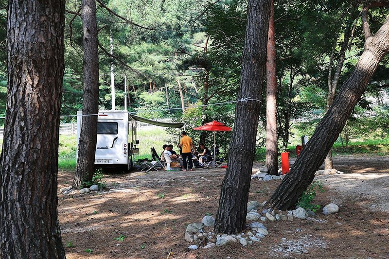 한계2리 솔밭야영장 시설 사진 1