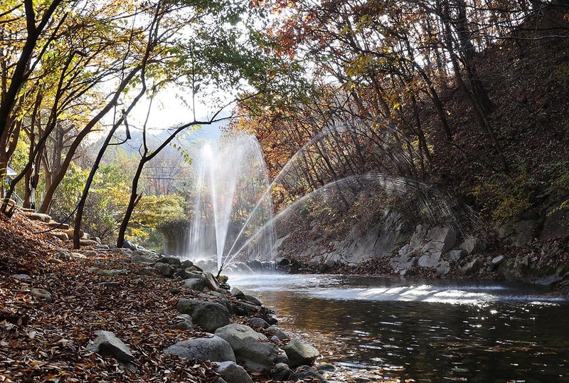 썬오브글램핑 시설 사진 6