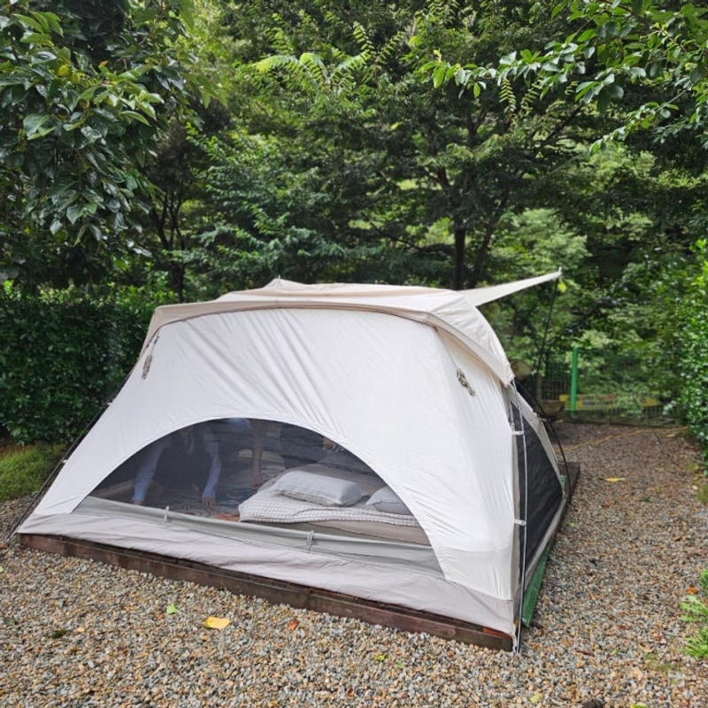 [미미일상] 충북 영동 물한계곡 /단체야유회 '별밤펜션캠핑장'