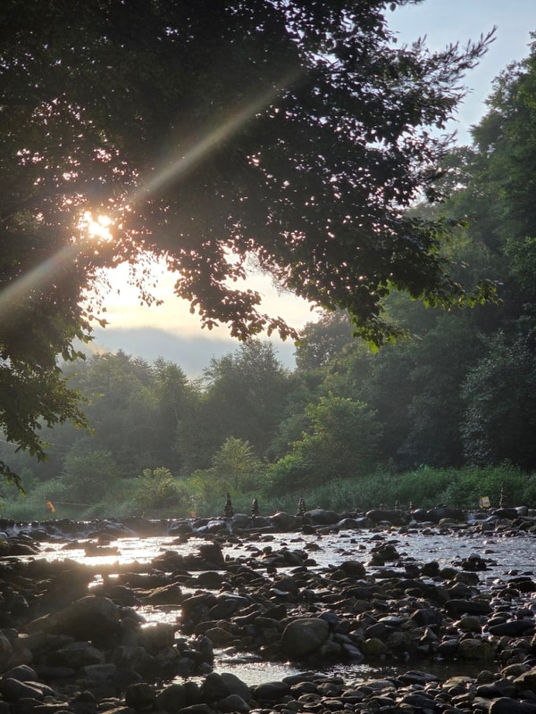 잠시 살짝, 일상을 빠져 나오기(강원도 영월 사랑나무 캠핑장)