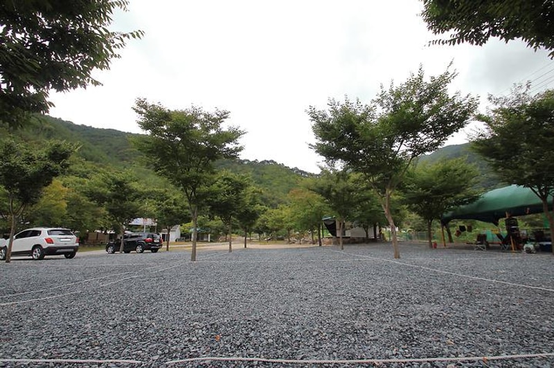 연지곤지 캠핑장 대표 사진