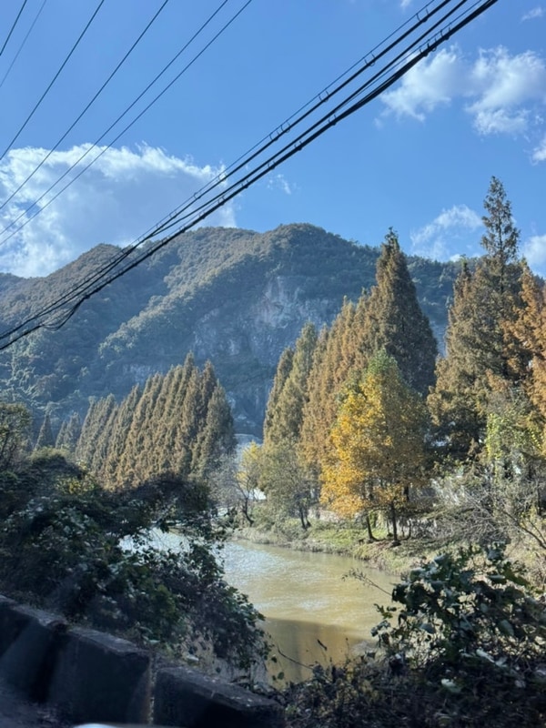 세종 풍성채캠핑장/식스볼트 듀라박스 / 아홉산장작 /D3