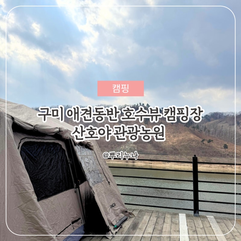 경북 애견동반 캠핑장 | 호수뷰 산호야관광농원 데크1번 후기