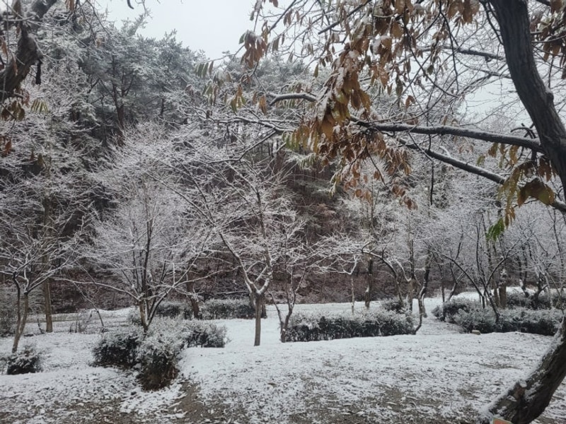 전북장박캠핑장 부안 진서면 동계장박 내소힐링캠프
