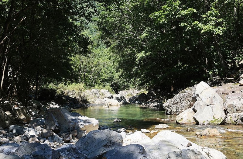 라피 시설 사진 13