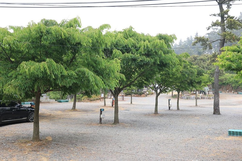 에스이(SE)클럽관광농원야영장 시설 사진 21